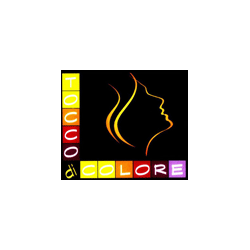 Logo di TOCCO DI COLORE