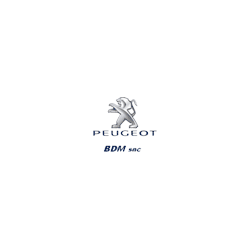 Logo di AUTOFFICINA BDM