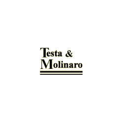 Logo di TESTA & MOLINARO SPA