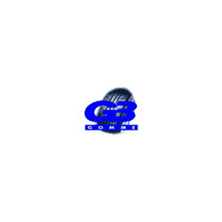 Logo di G.B. GOMME DI GODIZZI GIUSEPPE - GOMMISTA BRESCIA