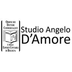 Logo di STUDIO D'AMORE RAG. ANGELO