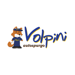 Logo di VOLPINI SERVIZI