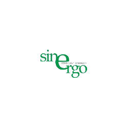 Logo di SINERGO