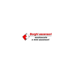 Logo di BORGHI ALBERTINO E C.