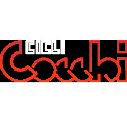 Logo di COCCHI CICLI