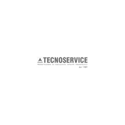 Logo di TECNOSERVICE