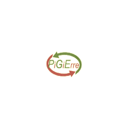 Logo di PI.GI.ERRE