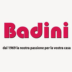 Logo di BADINI STORE