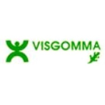 Logo di VISGOMMA