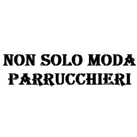 Logo di NON SOLO MODA PARRUCCHIERI