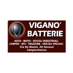 Logo di VIGANO' - BATTERIE