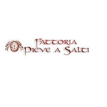 Logo di PIEVE A SALTI