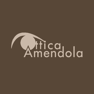 Logo di OTTICA AMENDOLA - DOTT. L. AMENDOLA OPTOMETRISTA