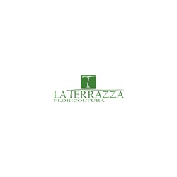 Logo di LA TERRAZZA FLORICOLTURA