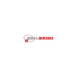 Logo di EDILBRIDI