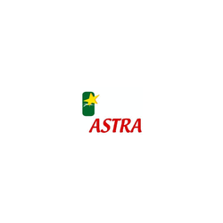 Logo di ASTRA PER L'EDILIZIA