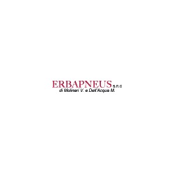 Logo di ERBAPNEUS