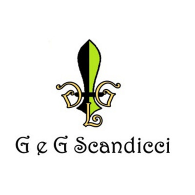 Logo di G E G SCANDICCI - RIPARAZIONE ELETTRODOMESTICI