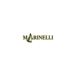 Logo di CAMPANE MARINELLI