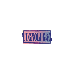 Logo di TUGNOLI G. E C.