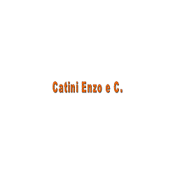 Logo di CATINI ENZO & C.