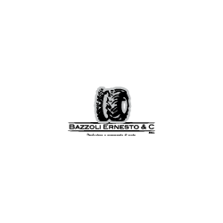 Logo di BAZZOLI ERNESTO E C.