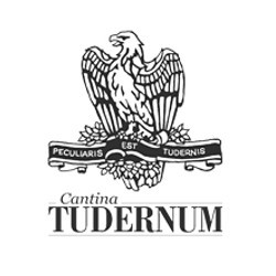 Logo di CANTINA TUDERNUM