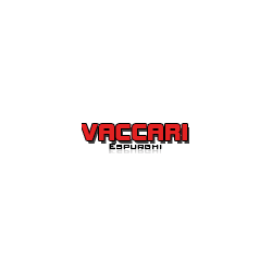 Logo di VACCARI ESPURGHI