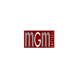 Logo di MGM INFISSI