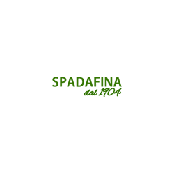 Logo di SPADAFINA DAL 1904