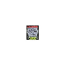 Logo di LACCATURA 2000