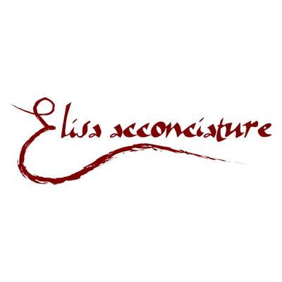 Logo di ELISA ACCONCIATURE