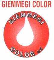 Logo di GIEMMEGI COLOR srl
