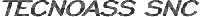 Logo di TECNOASS snc