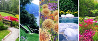 Logo di CIP GARDEN