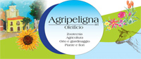 Logo di AGRIPELIGNA srl