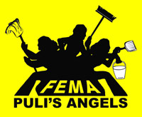 Logo di FEMA SCARL PULI'S ANGELS