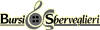 BURSI IRMA & SBERVEGLIERI PEPPINO srl