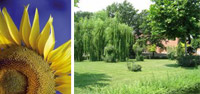 Logo di GIRASOLE - ARTISTI DEL GIARDINO