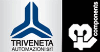 TRIVENETA AUTOMAZIONI srl