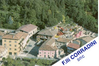 Logo di CORRADINI F.LLI snc