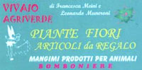 Logo di VIVAIO AGRIVERDE