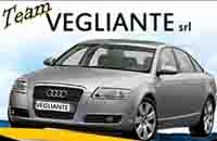Logo di TEAM VEGLIANTE