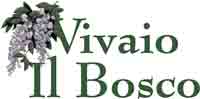 Logo di VIVAIO IL BOSCO AZIENDA AGRICOLA S.S.
