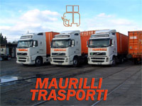 Logo di TRASPORTO CONTAINERS MAURILLI