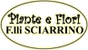 AGENZIA FUNEBRE SCIARRINO GIUSEPPE