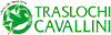 TRASLOCHI CAVALLINI