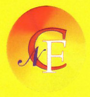 Logo di NUOVO COLORIFICIO FOLIGNATE sas
