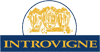 CANTINE INTROVIGNE srl