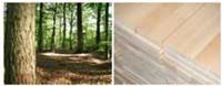 Logo di LIGURE LEGNO srl